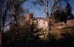 PAULIN1