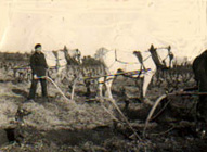 Vignes_Candastre